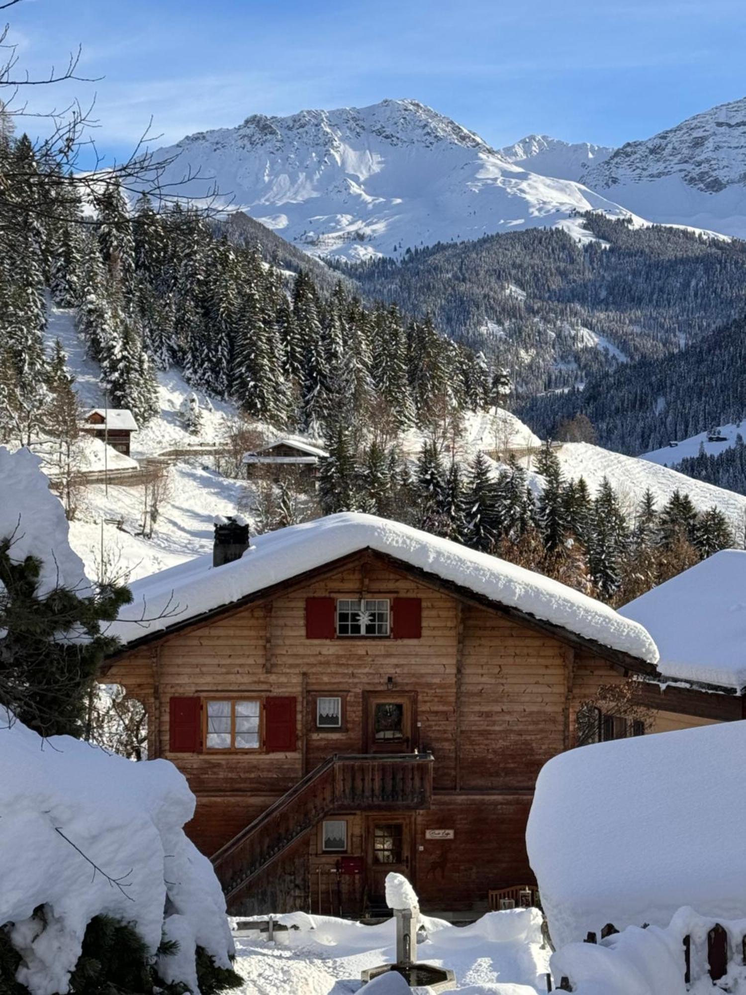 Bambi Lodge Ferienwohnung Auf Knapp 1400 M Nahe Arosa Peist Exterior photo